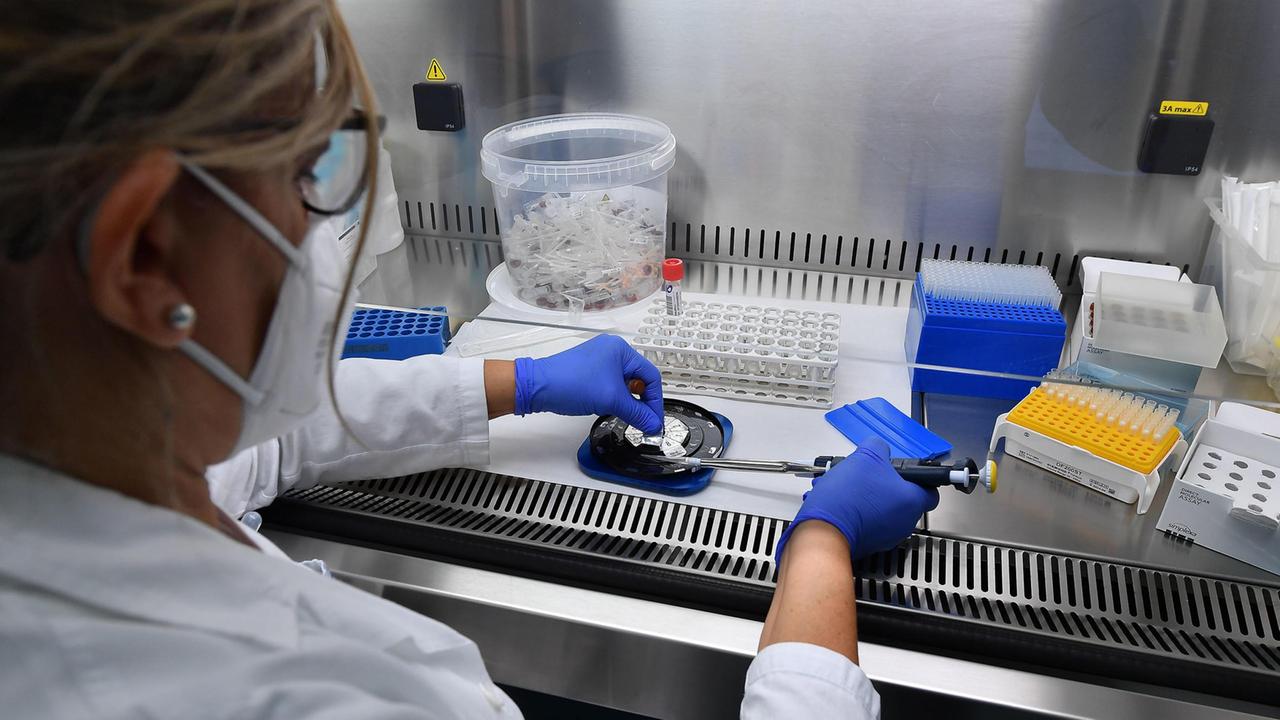 Un laboratorio di analisi (Foto di repertorio)