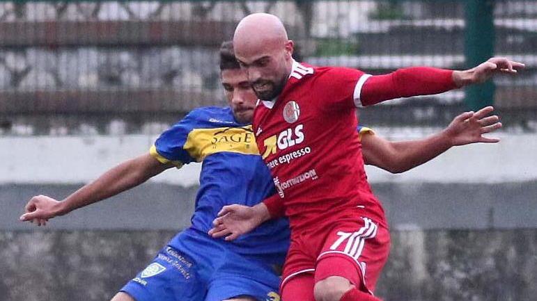Livorno va, Carrarese al tappeto