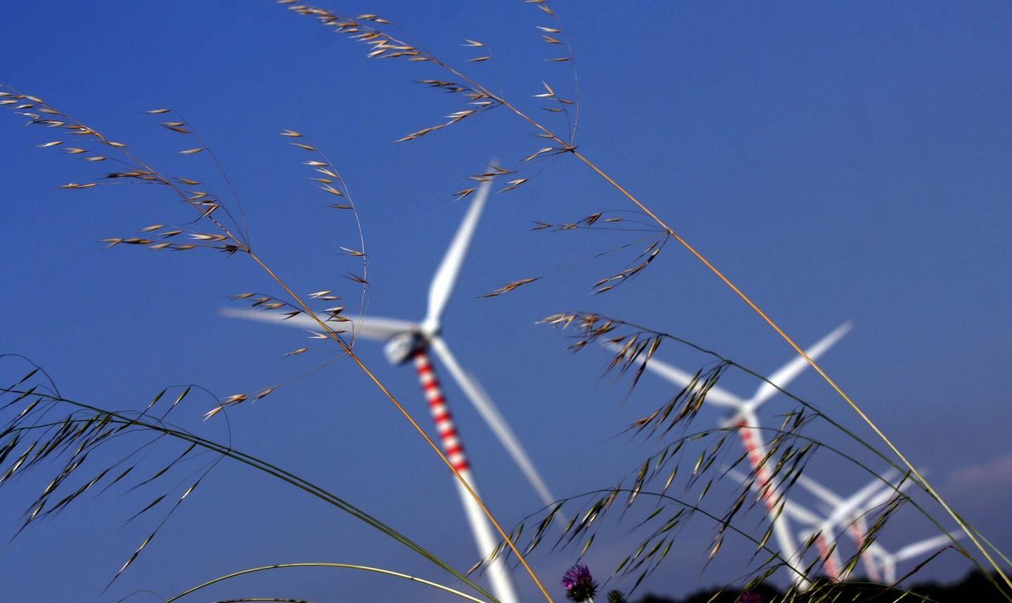 L’assalto delle rinnovabili «Nuovi impianti dannosi» 