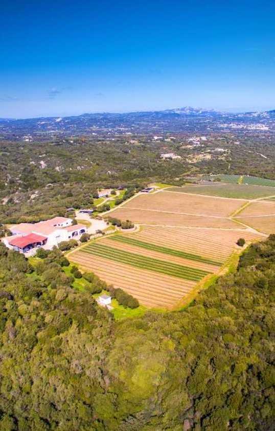 Capichera in vendita? Silenzio della proprietà 