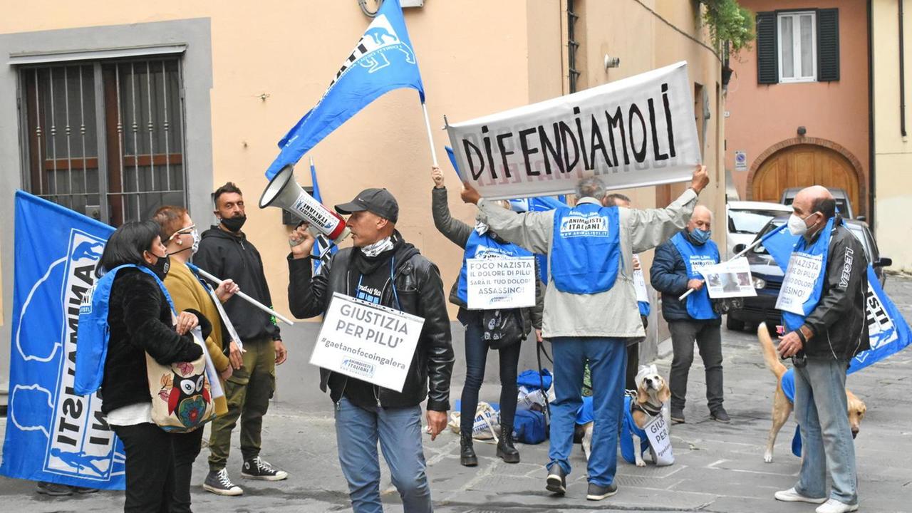 Cagnolina seviziata a morte: negato il patteggiamento