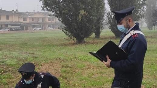 Lagosanto, aggredita in strada dai pitbull: donna ferita, muore il suo cane