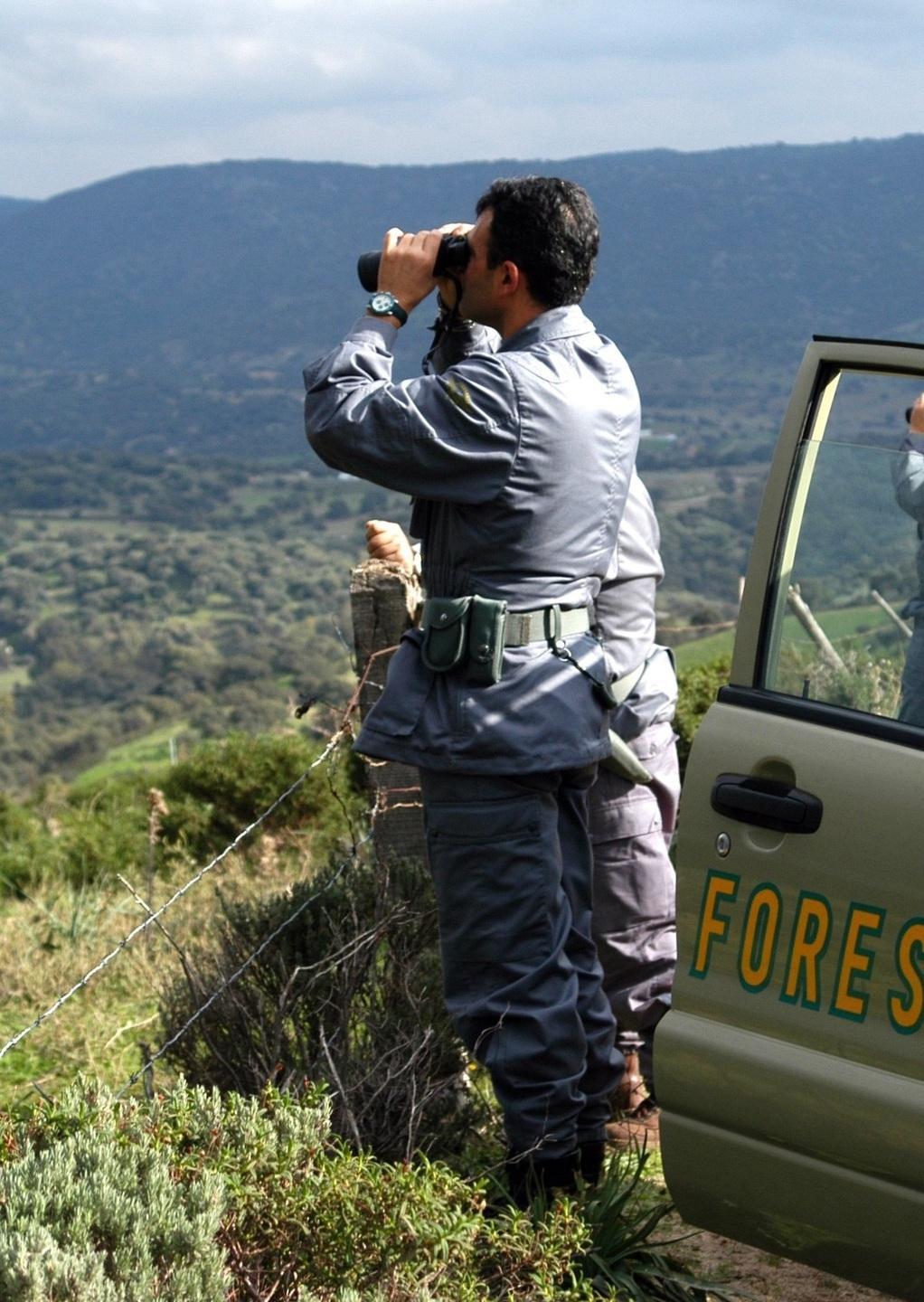 Il Corpo forestale scopre una trappola per cinghiali 