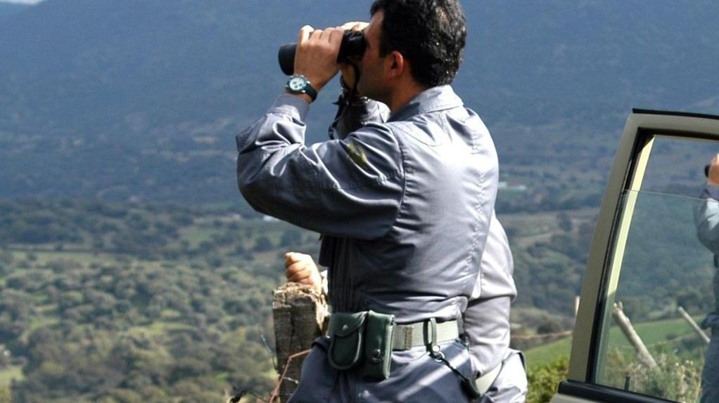 Il Corpo forestale scopre una trappola per cinghiali