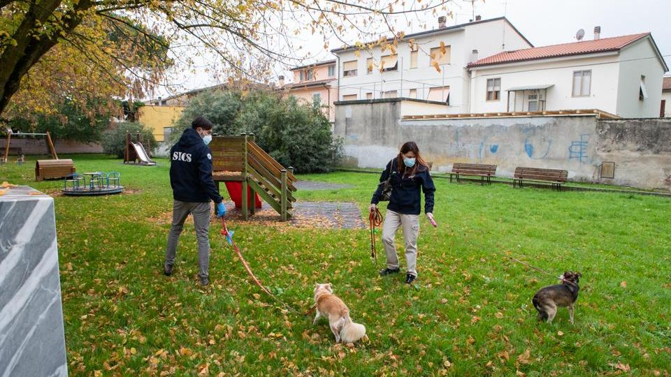 Due volontari della Sics portano i cani a fare una passeggiata
