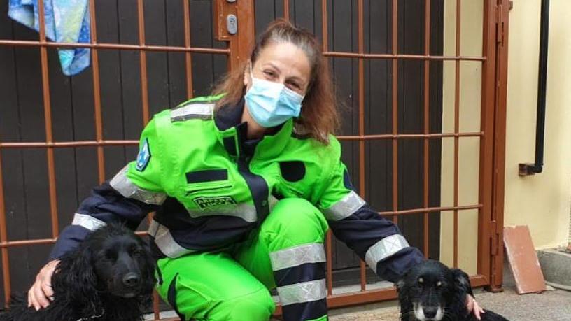Un servizio per portare fuori i cani di chi è in quarantena