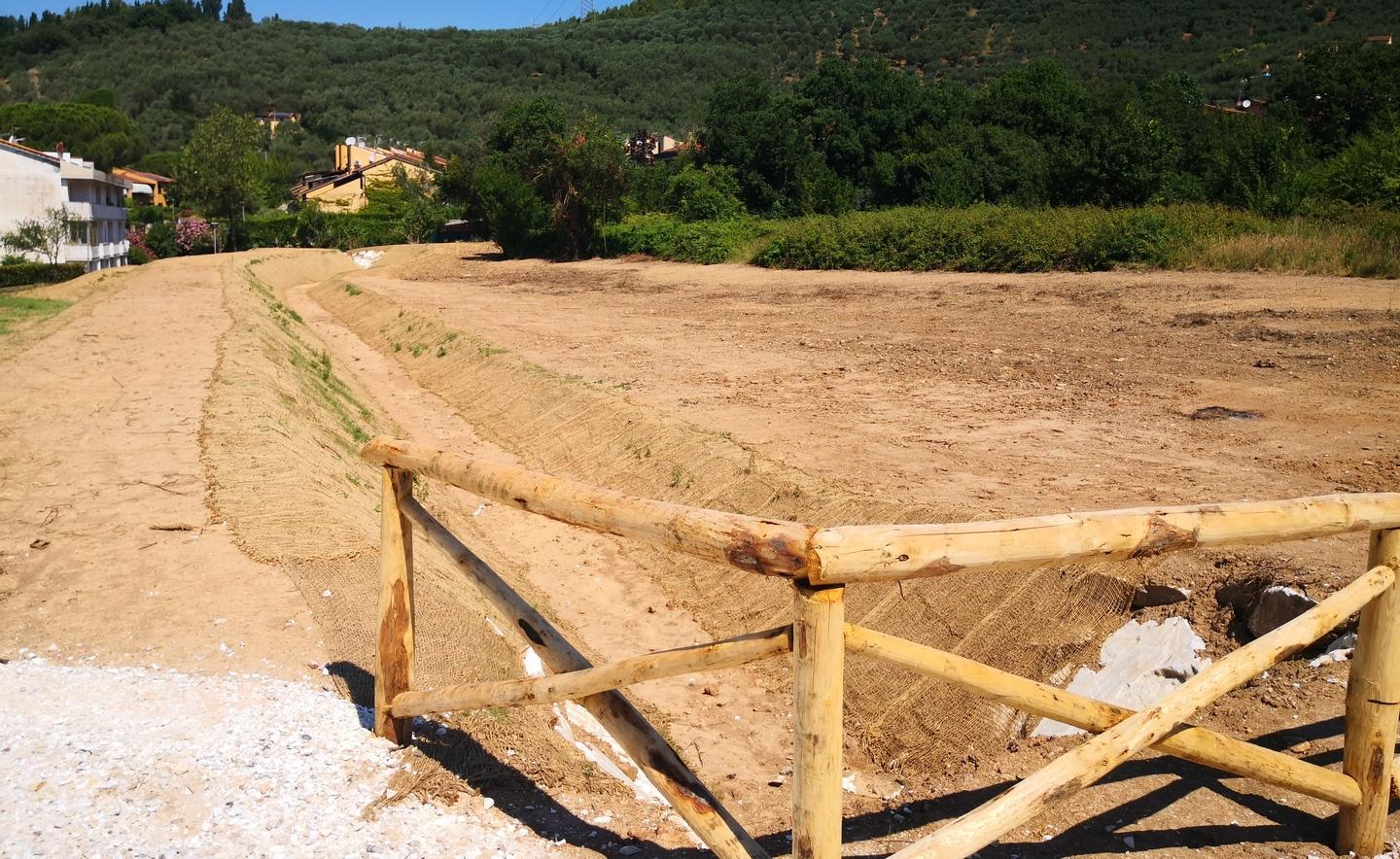 La Gabella, una rinascita verde con l’arrivo di filari di cipressi 