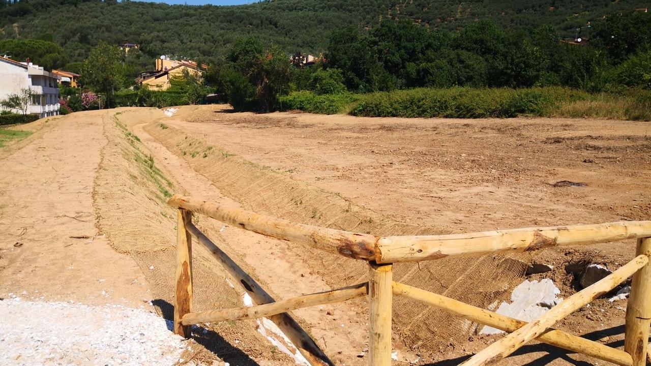 La Gabella, una rinascita verde con l’arrivo di filari di cipressi