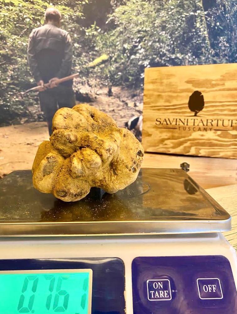 Il tartufo da record vola a Hong Kong: "È uno dei mercati che sta resistendo" 