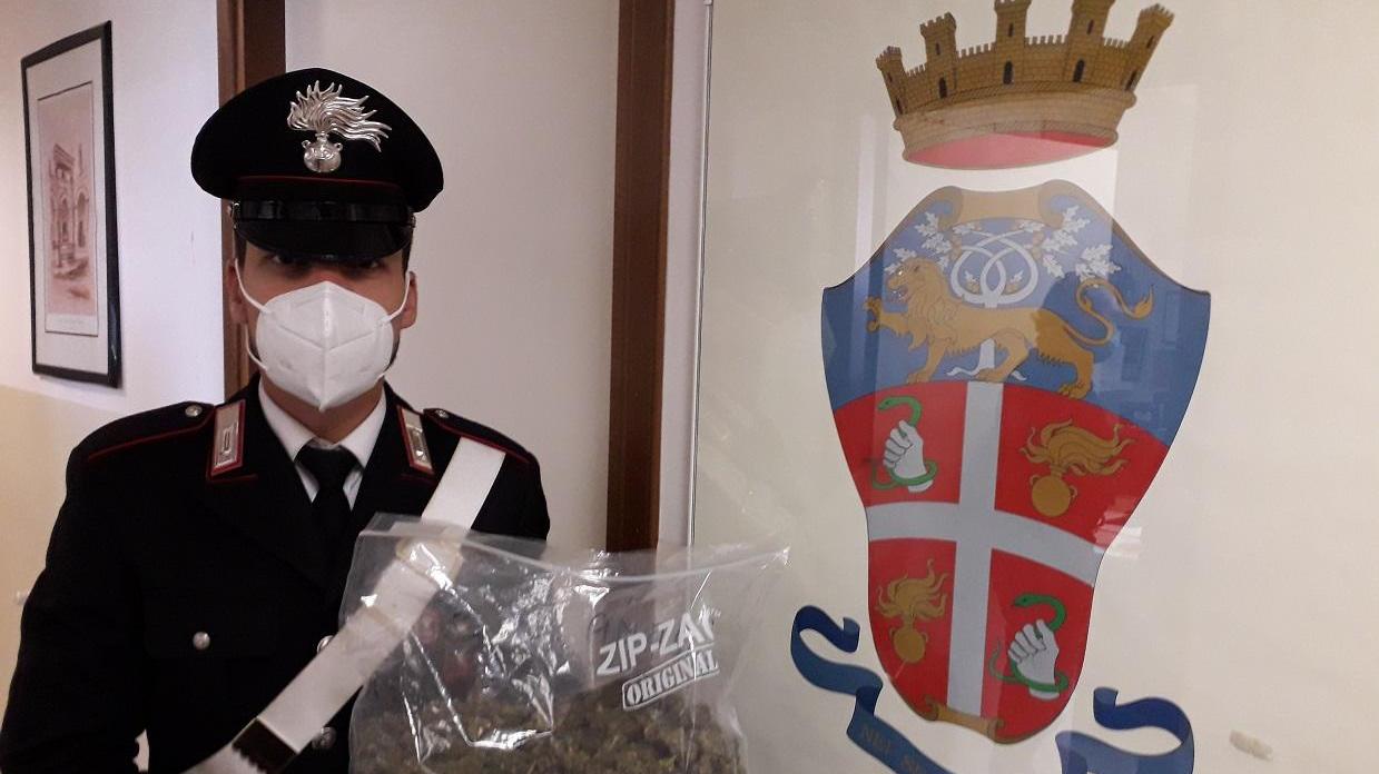 La marijuana sequestrata al casello di Pistoia