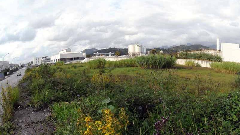 Il Tar: Edison corresponsabile dell’inquinamento Farmoplant