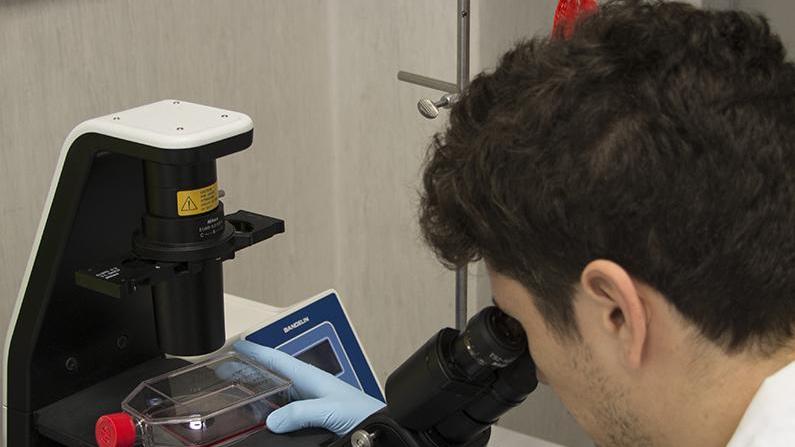 Nuovi progetti di robotica dall’intesa Sant’Anna-Inail