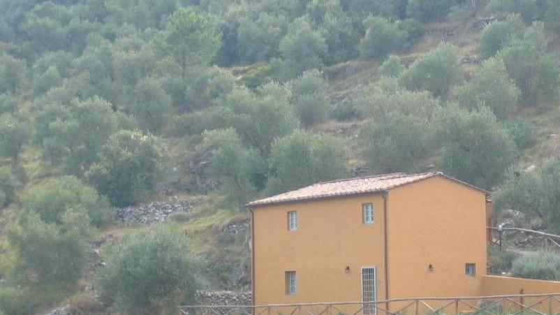 Tisana e passeggiata dedicata alla “Luna Nuova”
