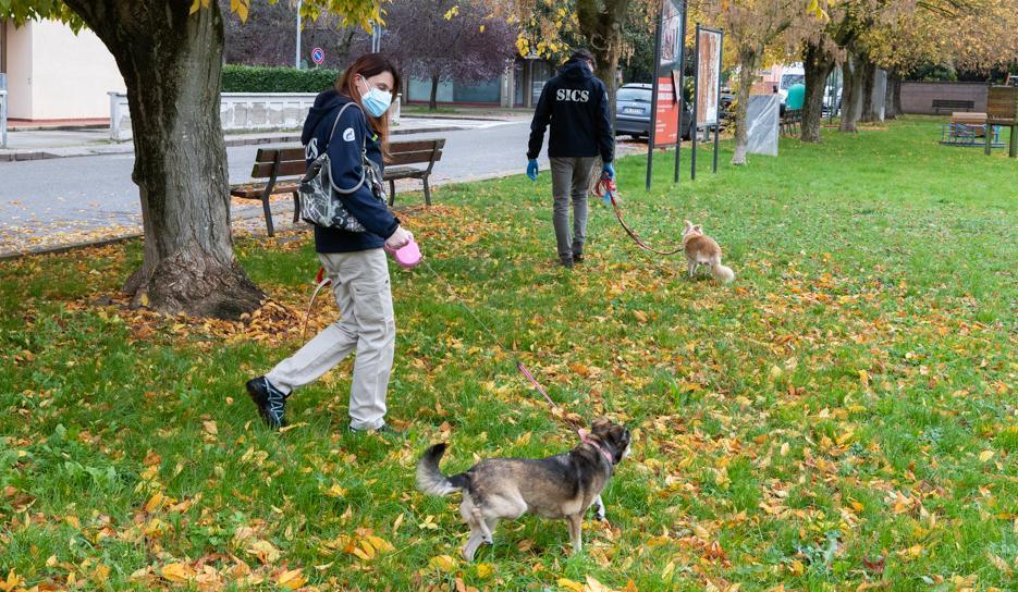 Quando il proprietario si trova in quarantena al cane ci pensa la Sics 