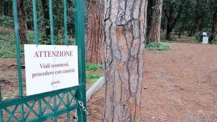 Castello Pasquini, viaggio nel degrado tra viali sconnessi e piante pericolanti