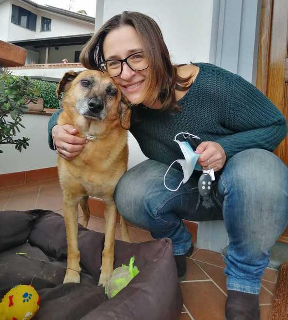 Dopo tanti maltrattamenti Geppetto ha trovato una casa 