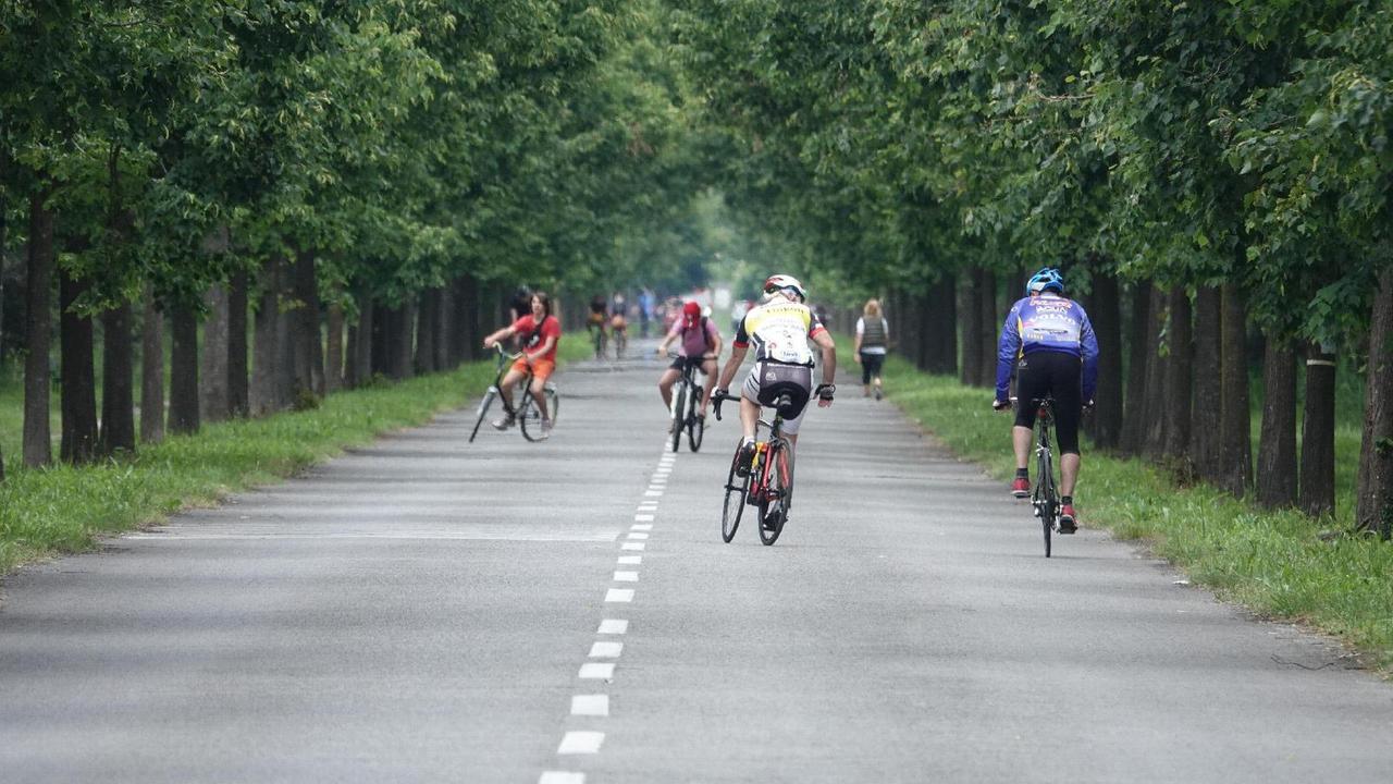 Il viale dei Tigli pedonale nei weekend, uno spazio per passeggiare in tempo di Covid