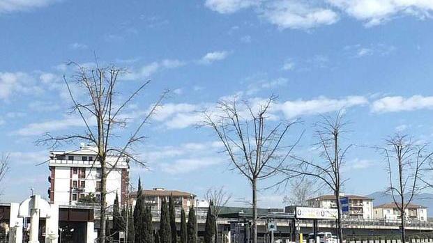 Dieci milioni per salvaguardare l’occupazione