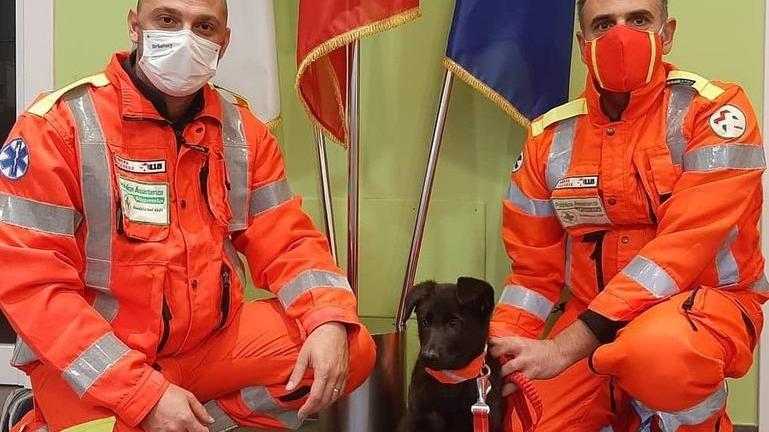 Per l’Avap c’è un nuovo volontario: ecco Anubi