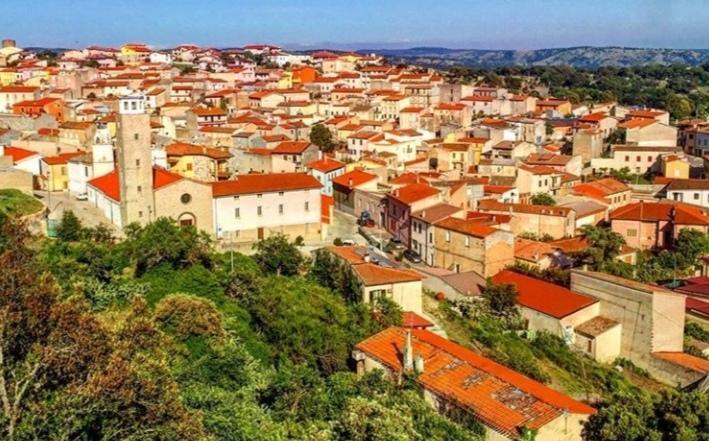 Nule, donna e cagnolino aggrediti da un pitbull 