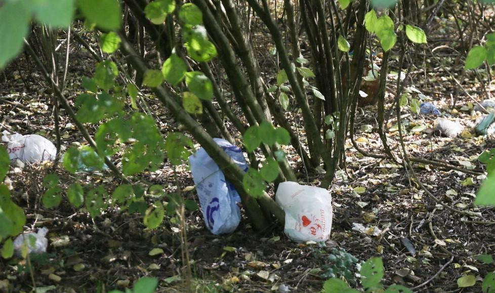 Una discarica a cielo aperto deturpa il Parco del Rodano 