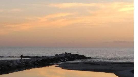«Nuovi argini del fiume Frigido, progetto da rivedere»