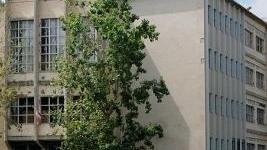 Coltivava cannabis, sentenza rinviata