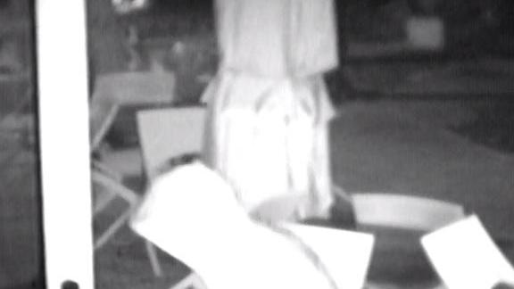 Il ladro in azione ripreso dalle videocamere di sorveglianza