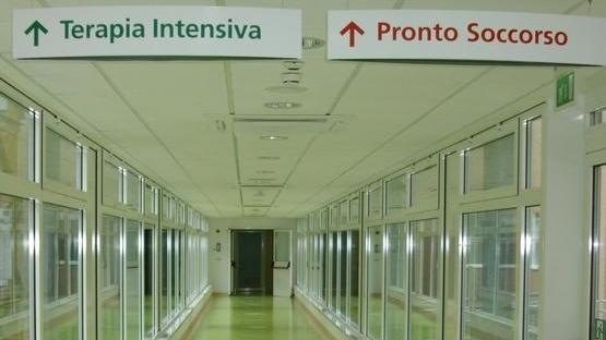 «Guastalla, letti al 50% per il Covid La sfida: tenere anche sul resto»