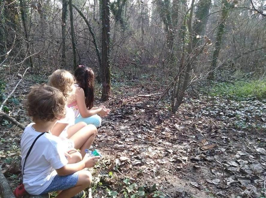 A Casalgrande saltano le escursioni nei boschi per i bimbi e le famiglie