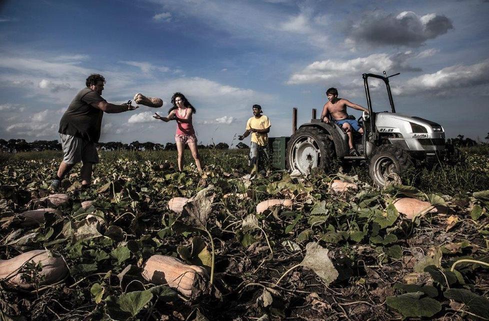 La campagna e i suoi frutti I vincitori del concorso 