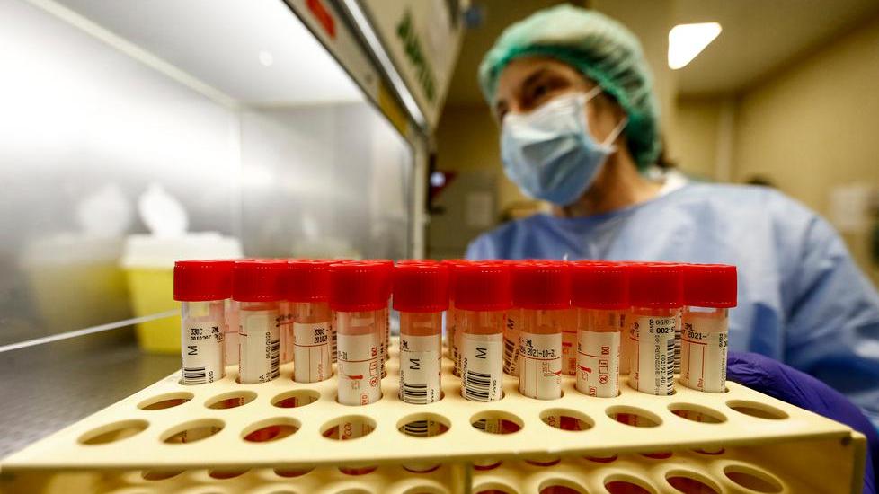 «Indagine epidemiologica nel circondario»