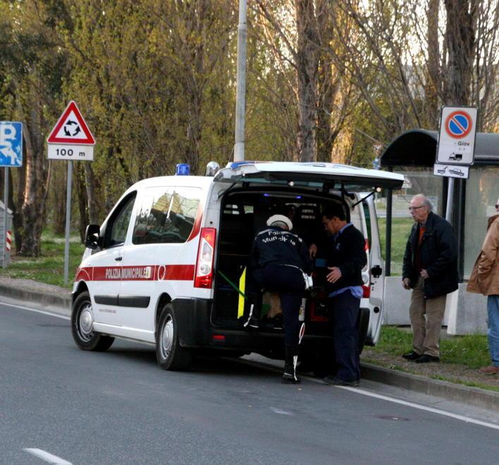 Stop telefonino alla guida: aumentano i controlli dei vigili urbani di Rosignano 