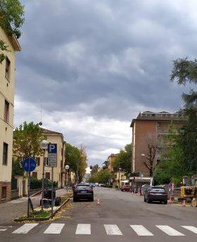 Modena. Via De’ Fogliani non piace più «Gli alberi sono troppo esili» 