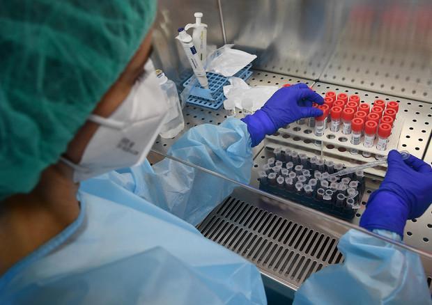 Covid, numeri mai visti in provincia di Pisa: 6 decessi e 640 nuovi positivi in un giorno
