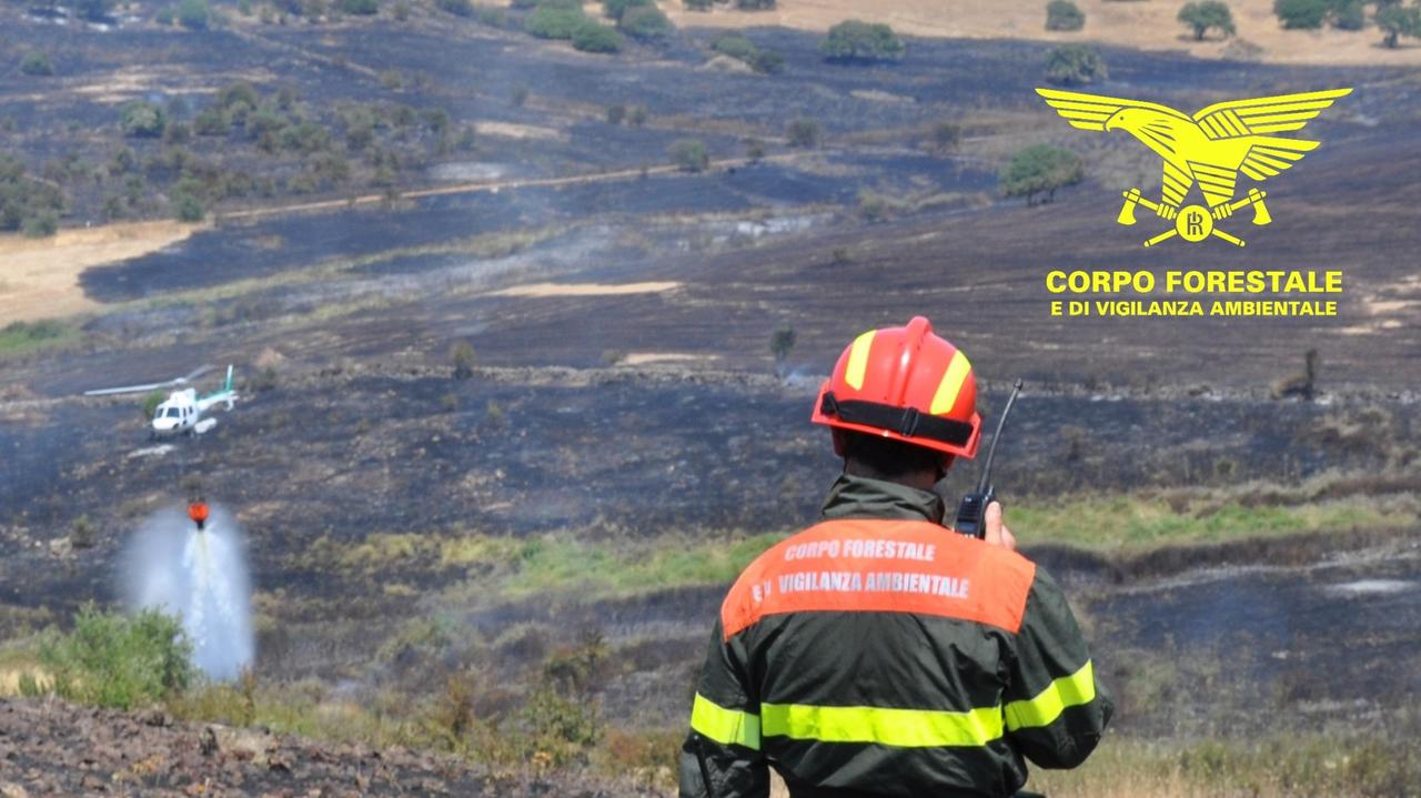 Meno incendi estivi nel 2020 in Sardegna
