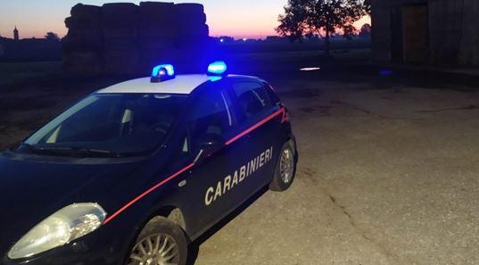Codigoro, ruba gasolio da mezzi agricoli: arrestato