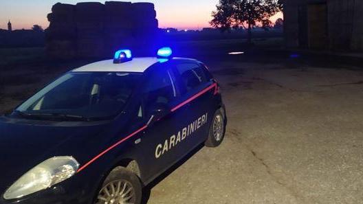 Codigoro, ruba gasolio da mezzi agricoli: arrestato