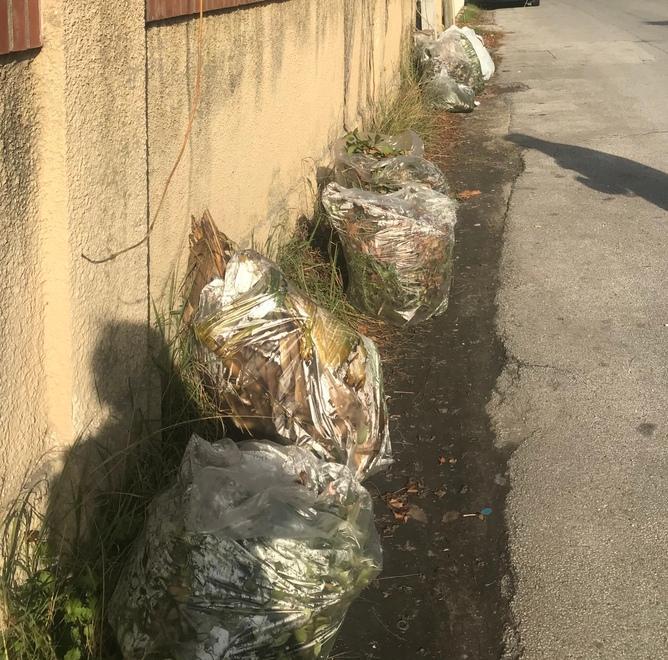 Sacchi di rifiuti abbandonati per strada a Fiumetto