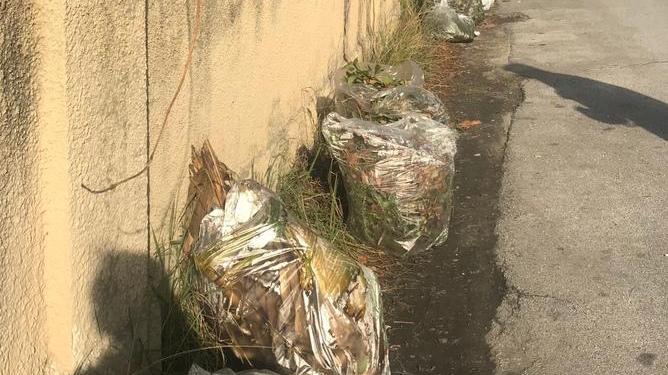 Sacchi di rifiuti abbandonati per strada a Fiumetto