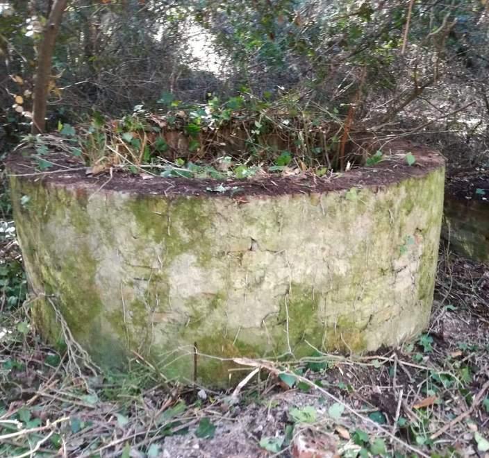 Salviamo l’antico pozzo trovato per caso nei boschi di Castagneto 