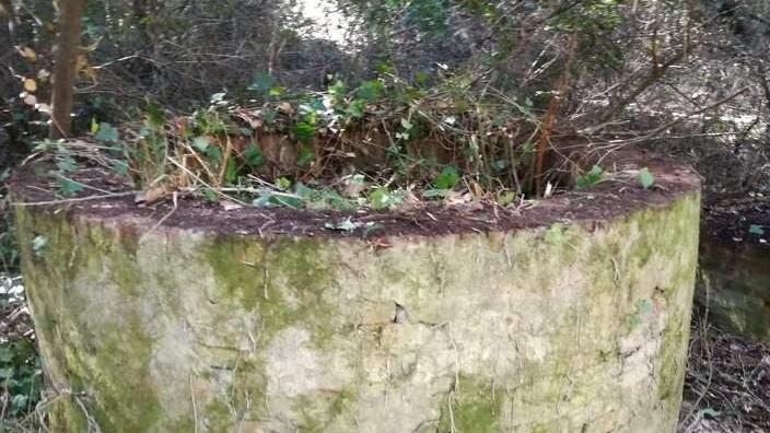 Salviamo l’antico pozzo trovato per caso nei boschi di Castagneto