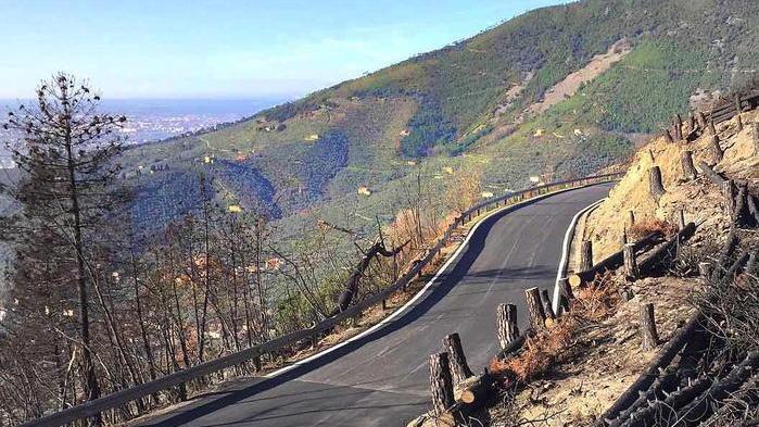 «Incendio del Serra, ho invitato qui l’ex ministro Centinaio»