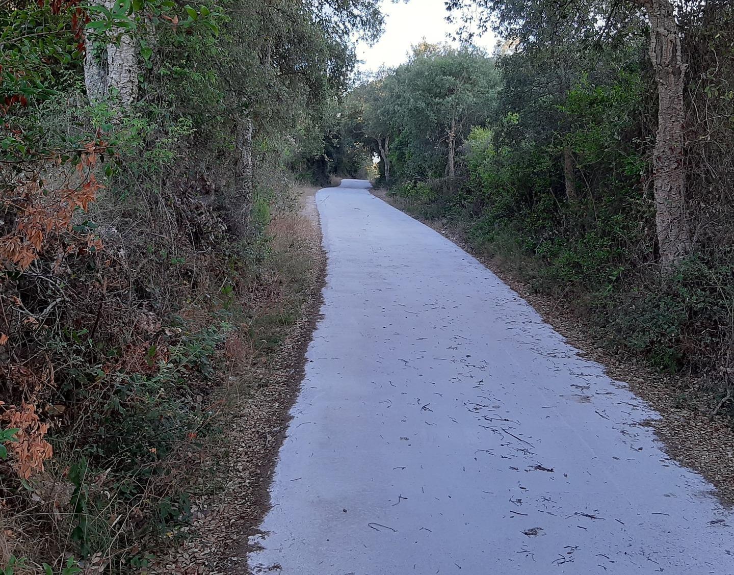 Strade rurali, al via i lavori per la manutenzione
