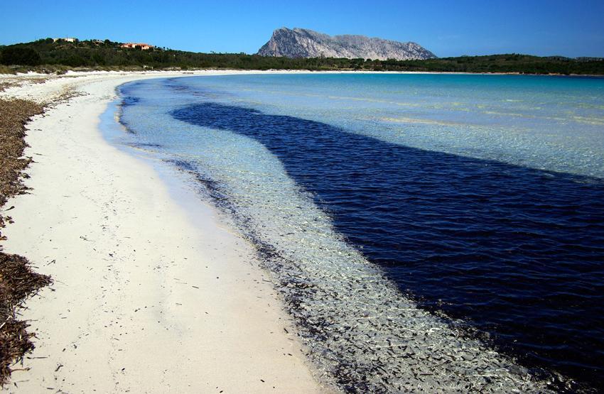 Cala Brandinchi (foto Alberto Maisto)