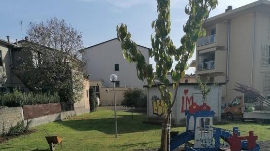 Piazze e viale Gramsci abbelliti da 31 alberi