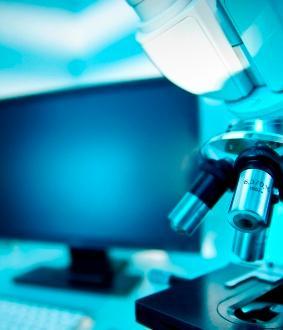 Patto con i prof Non copiamo dateci fiducia - Le cinque domande