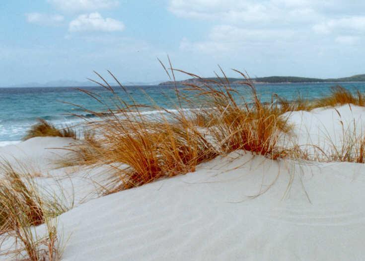 Col fuoristrada sulle dune: denunciati 