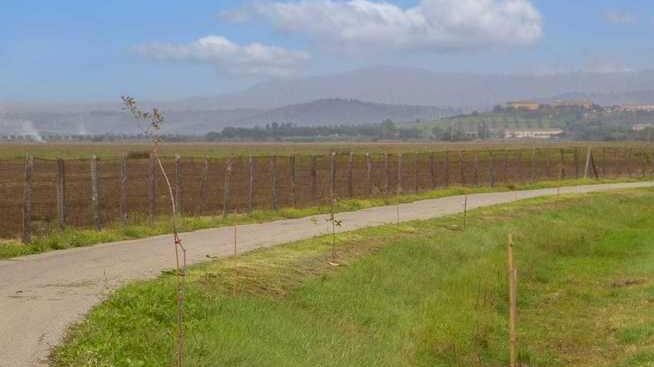 Parco della Maremma piantati 500 alberi lungo la pista ciclabile