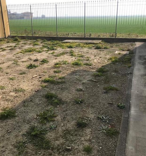 I “non cristiani” riposeranno nel mini cimitero 